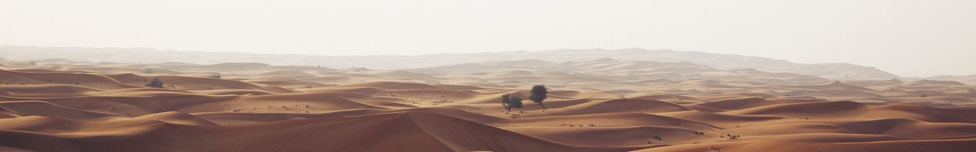 ݵƼ޹˾